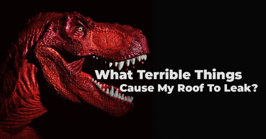 What Terrible Things Cause My Roof To Leak?